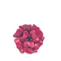 Anello Cianfrone Gioielli Donna in Argento ANAR-14-198 - ANAR-14-198